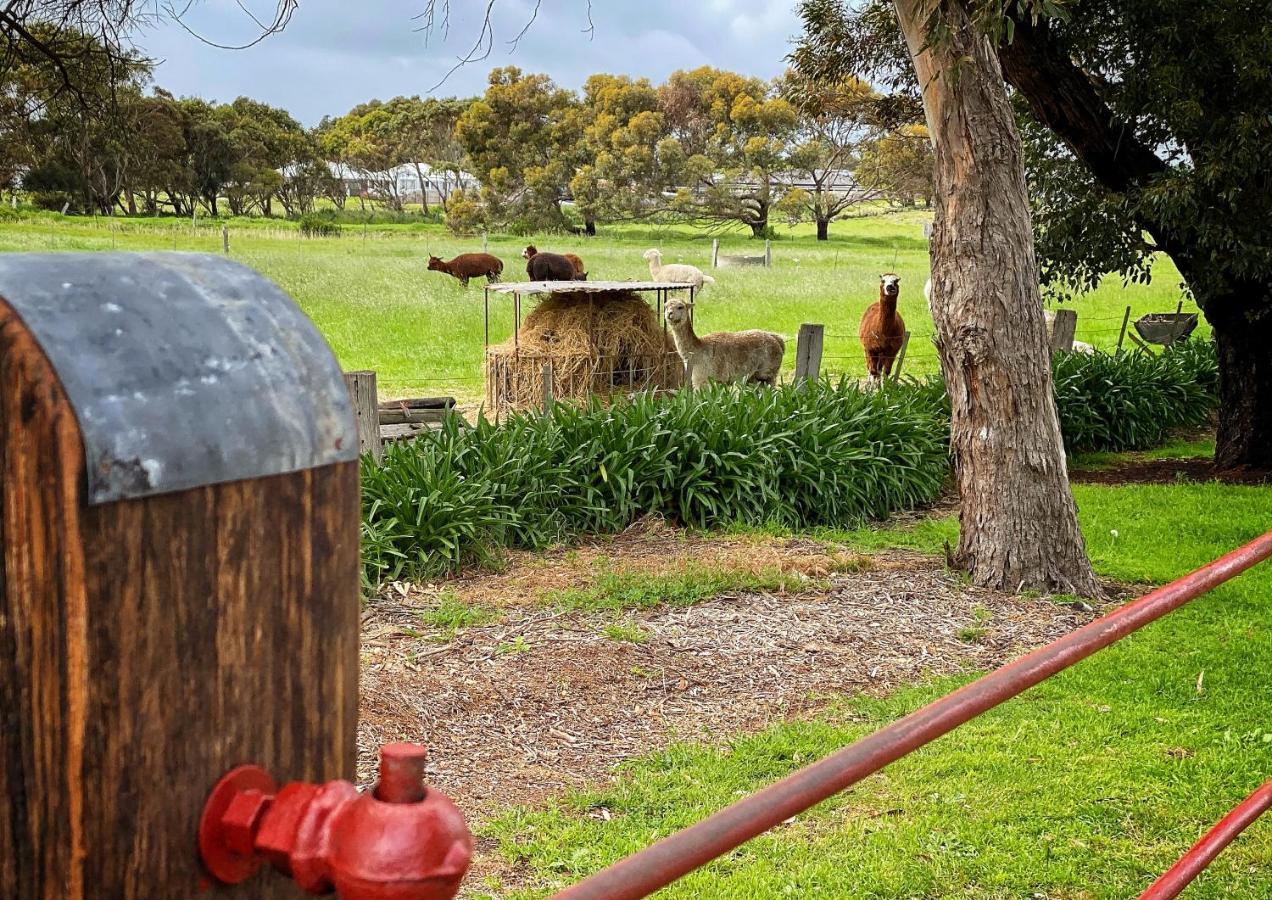 Cherry Plum Cottages Port Fairy Ngoại thất bức ảnh