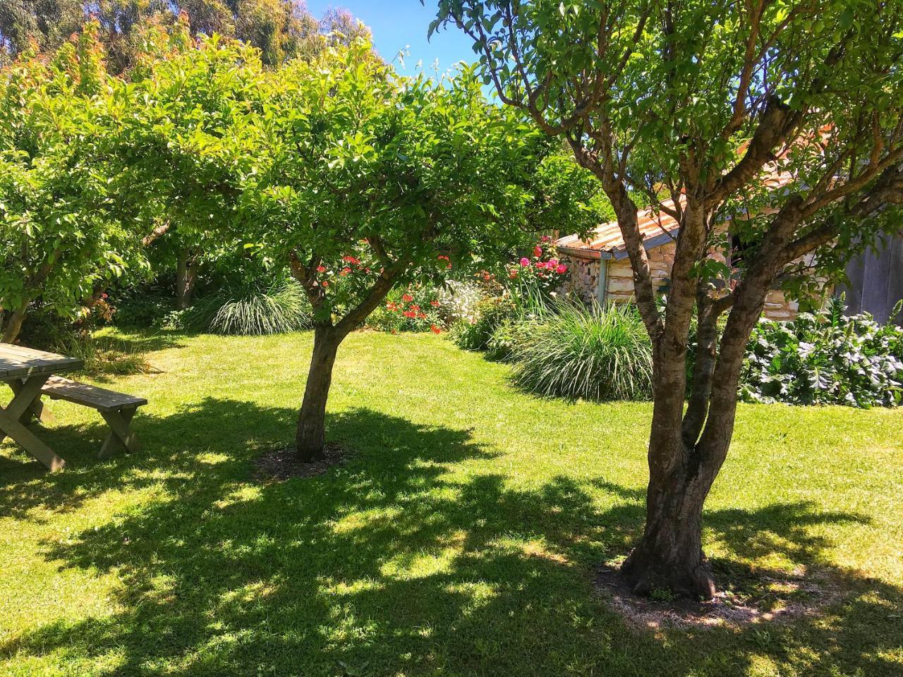Cherry Plum Cottages Port Fairy Ngoại thất bức ảnh