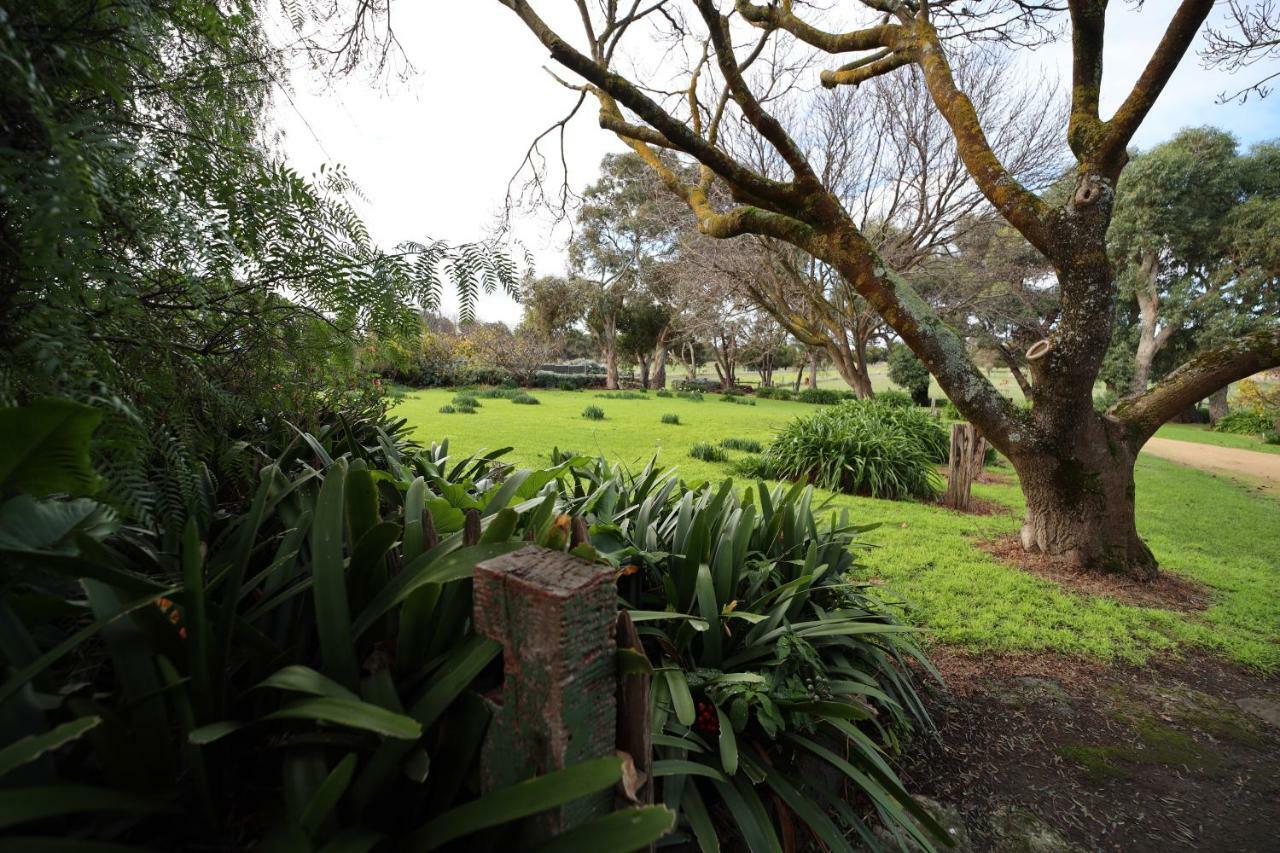 Cherry Plum Cottages Port Fairy Ngoại thất bức ảnh